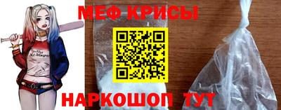 стаф Аргун