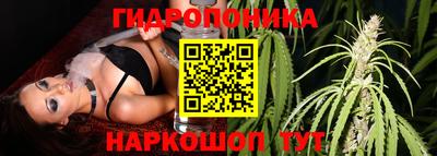 Альфа ПВП Апшеронск
